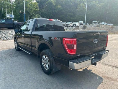 2023 Ford F-150 XLT 4WD SuperCab 6.5' Box